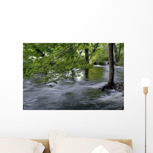 Flood Wall Decal