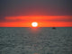 Key West Sunset Wall Mural