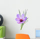 saffron flower Wall Mural