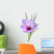 saffron flower Wall Mural