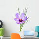 saffron flower Wall Mural