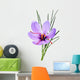 saffron flower Wall Mural