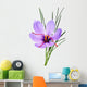 saffron flower Wall Mural