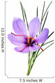 saffron flower Wall Mural