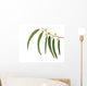 Eucalyptus Branch