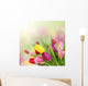 Spring Tulip Flowers