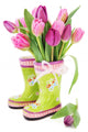 Spring Tulip Flowers in Boots Wall Decal