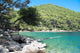 Small Open Water Shell