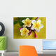 Flower Murals - Yellow Plumeria Wall Mural