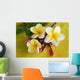Flower Murals - Yellow Plumeria Wall Mural