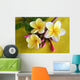 Flower Murals - Yellow Plumeria Wall Mural