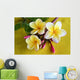 Flower Murals - Yellow Plumeria Wall Mural