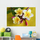 Flower Murals - Yellow Plumeria Wall Mural