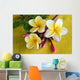 Flower Murals - Yellow Plumeria Wall Mural