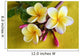 Flower Murals - Yellow Plumeria Wall Mural