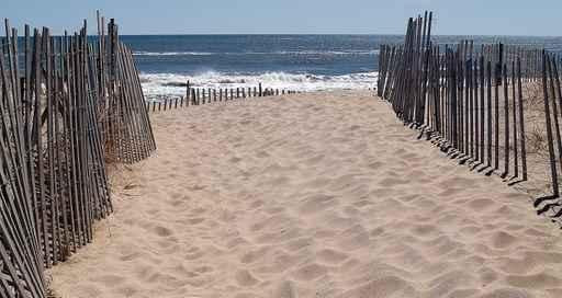 Beach Wall Decal Design 3