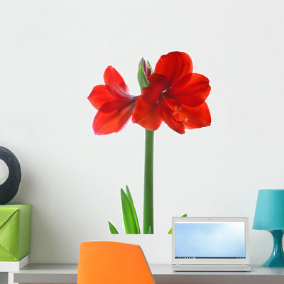 Amaryllis Wall Decal shown on a wall