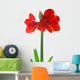 Amaryllis Wall Decal