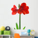 Amaryllis Wall Decal