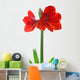 Amaryllis Wall Decal