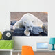 Polar Bear Wall Mural