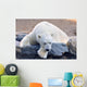 Polar Bear Wall Mural