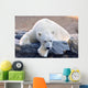 Polar Bear Wall Mural