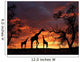 Giraffes on Sunset Wall Mural