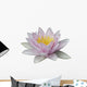 Lotus Wall Mural