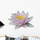 Lotus Wall Mural