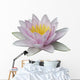Lotus Wall Mural