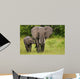 African Elephant Mother and Wall Mural