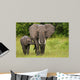African Elephant Mother and Wall Mural