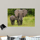 African Elephant Mother and Wall Mural