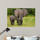 African Elephant Mother and Wall Mural
