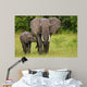 African Elephant Mother and Wall Mural
