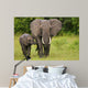 African Elephant Mother and Wall Mural