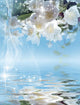 Magical Blooming Jasmine