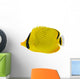 Latticed Butterfly Fish Chaetodon Wall Decal