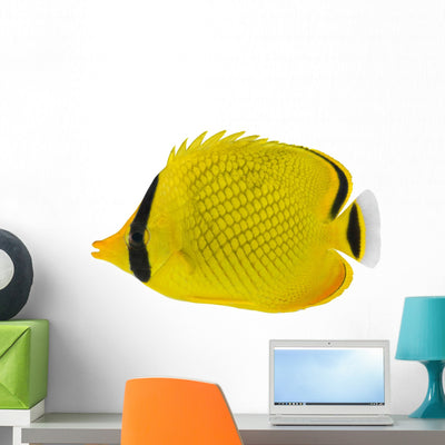 Latticed Butterfly Fish Chaetodon Wall Decal shown on a wall