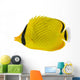 Latticed Butterfly fish. Chaetodon rafflesi Wall Decal