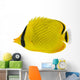 Latticed Butterfly fish. Chaetodon rafflesi Wall Decal