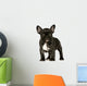 French Bulldog Puppy Wall Decal
