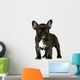 French Bulldog Puppy Wall Decal