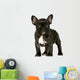 French Bulldog Puppy Wall Decal