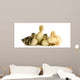 Caneton Wall Decal