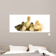 Caneton Wall Decal