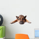 German Shephard Dog Laying Wall Decal