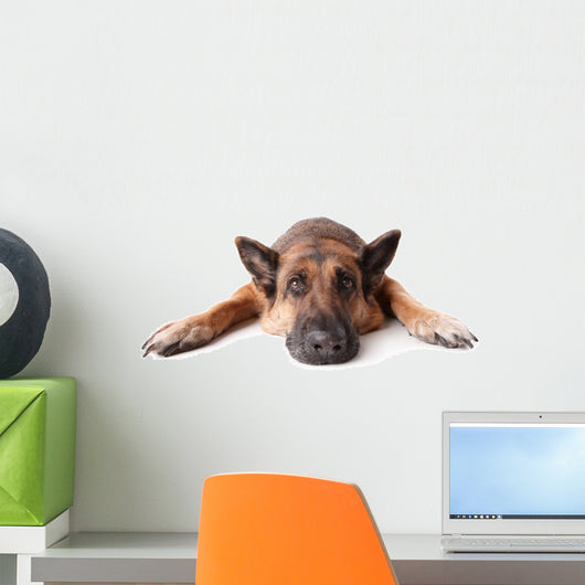 German Shephard Dog Laying Wall Decal
