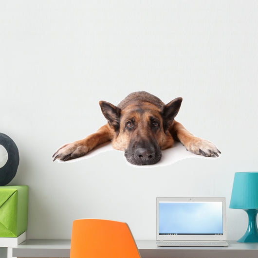 German Shephard Dog Laying Wall Decal